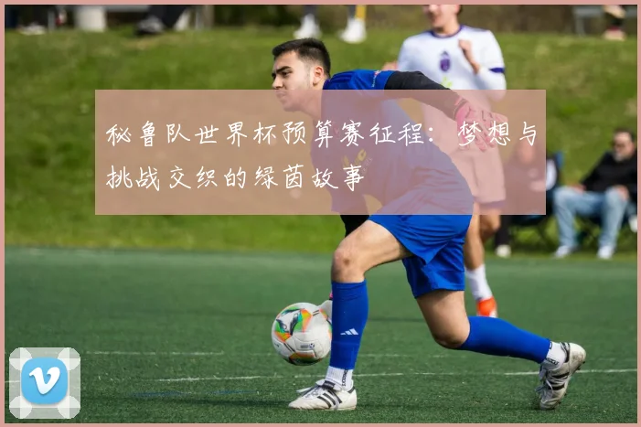 秘鲁队世界杯预算赛征程：梦想与挑战交织的绿茵故事
