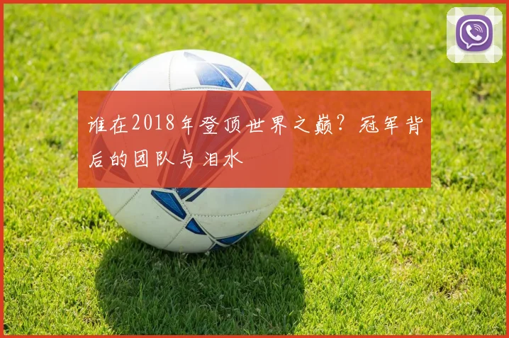 谁在2018年登顶世界之巅？冠军背后的团队与泪水